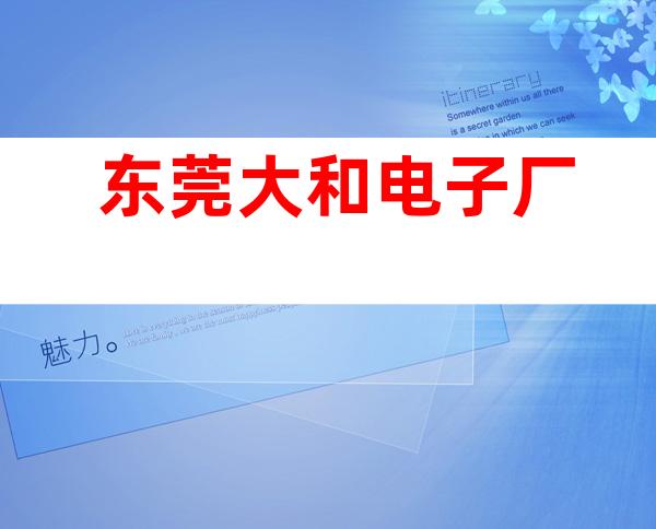 东莞大和电子厂